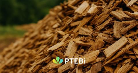 biomasa ptebi asturias asociado avebiom
